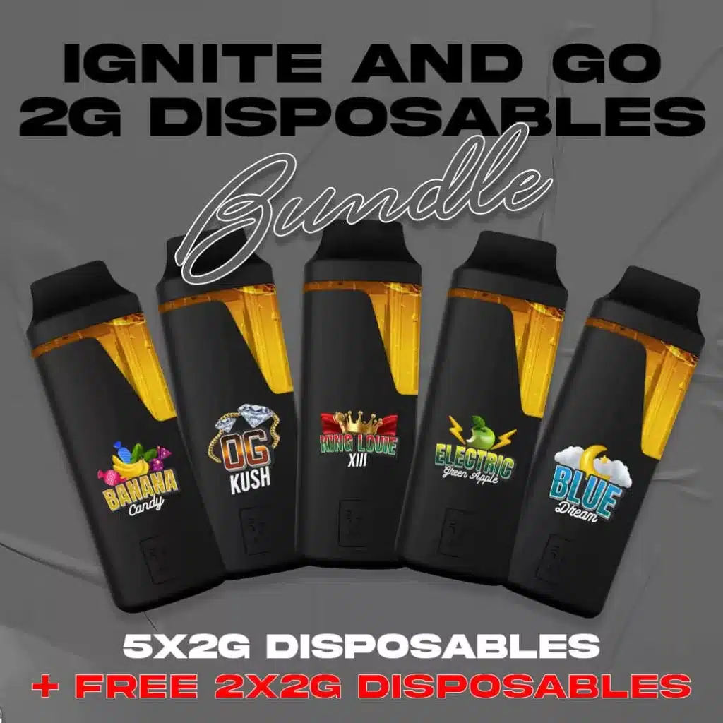 Ignite and Go 2 Gram Disposables Bundle  DabPens